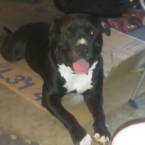 Meet your Posher, Stephen